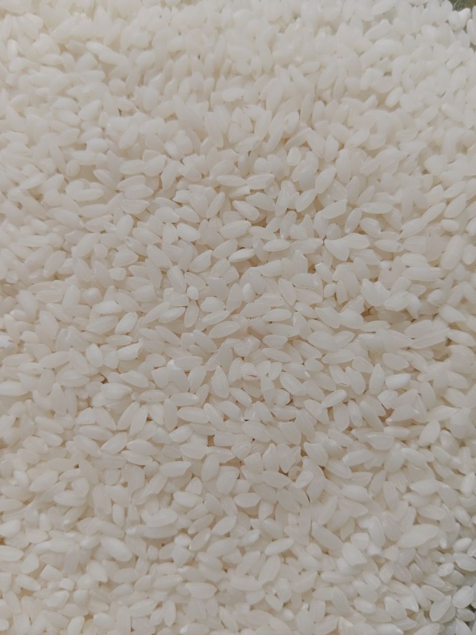 RICH NATURALS Organic Basmati (Aromatic) Rice (Govind Bhog) (Grade - A)
